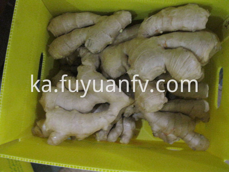 5kg air dried ginger 